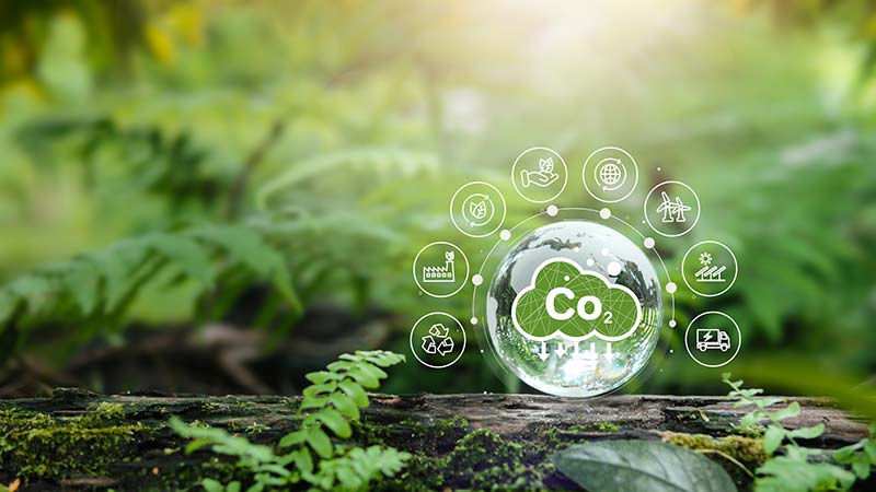 co2-carbon-reduction RHL Carbon Reduction Plan 2023